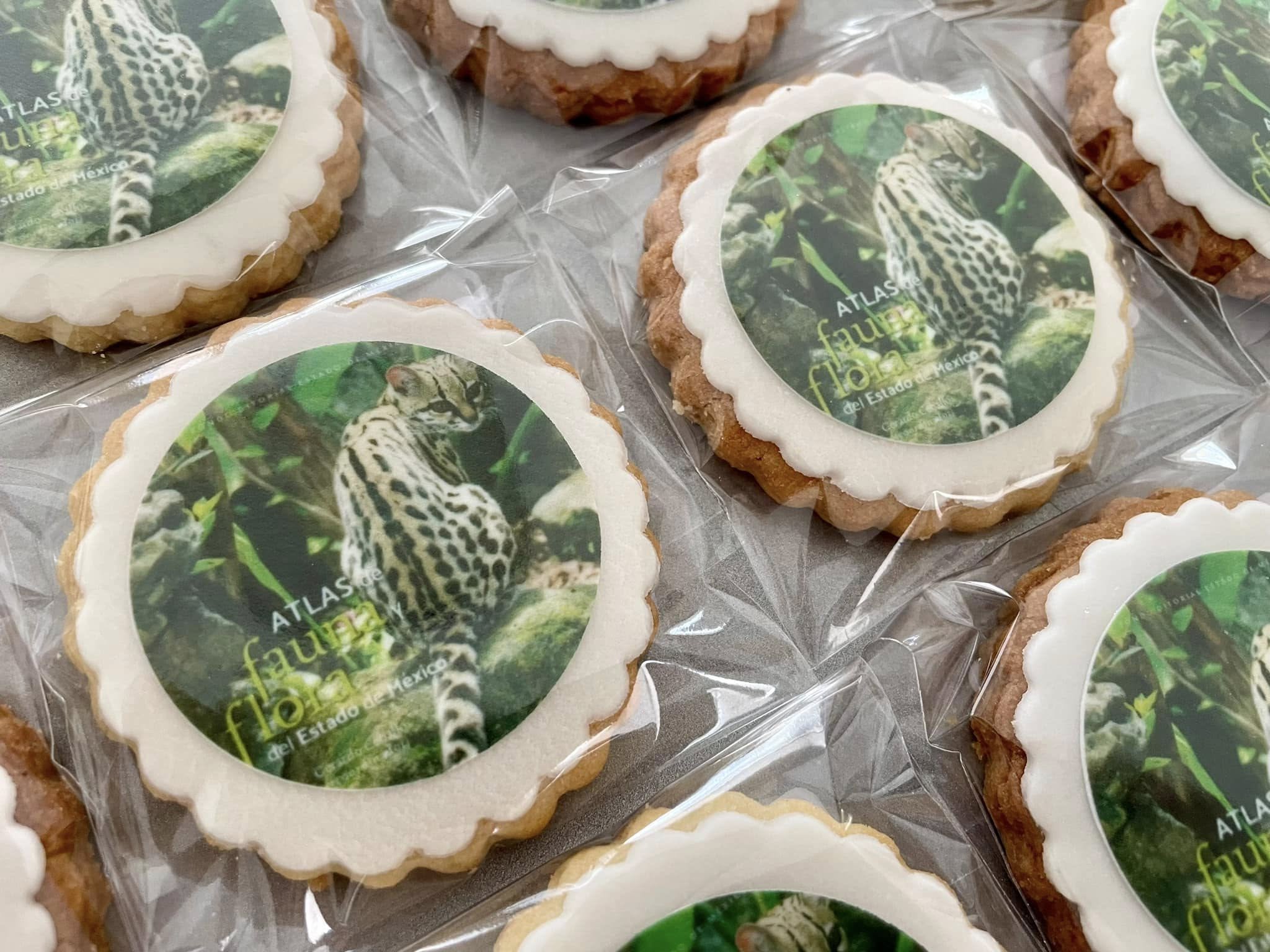 galletas de Institucion