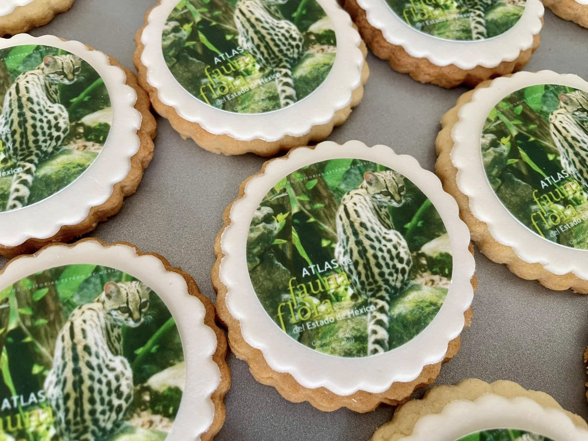 galletas de Institucion