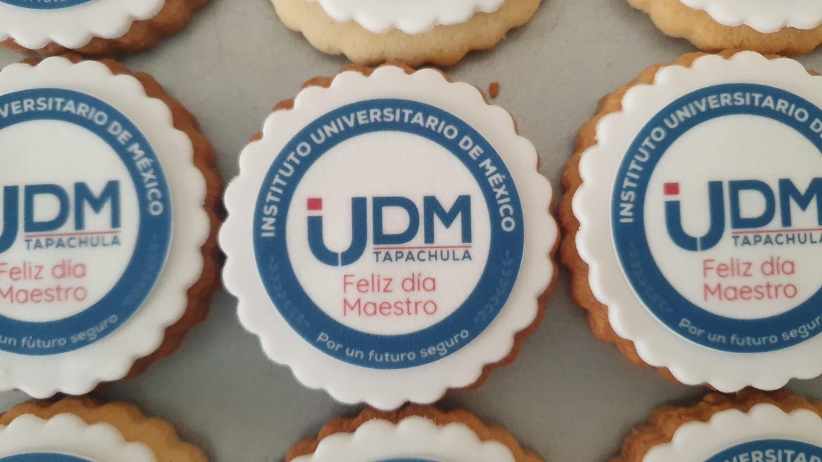 galletas de Institucion